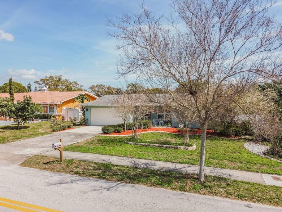 Casabetty Clearwater Florida Villa Bagian luar foto